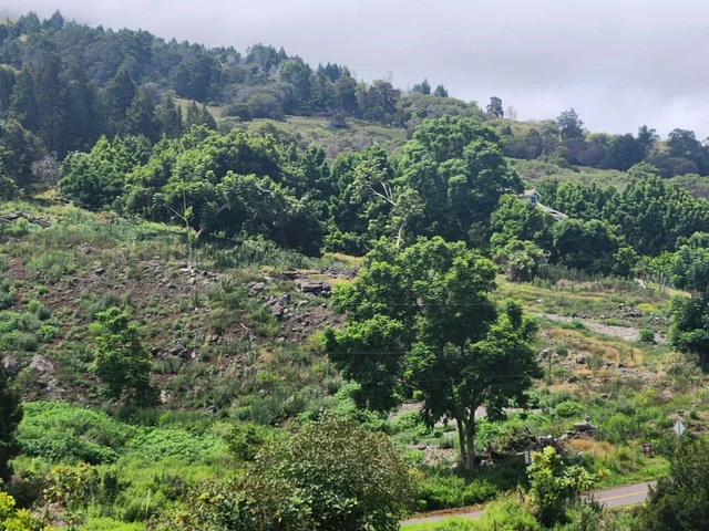 Listing Image for 487 Cross Rd 3 of 5