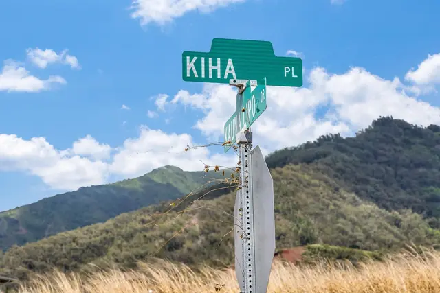 Listing Image for 101 Kiha Pl 41 21 of 31