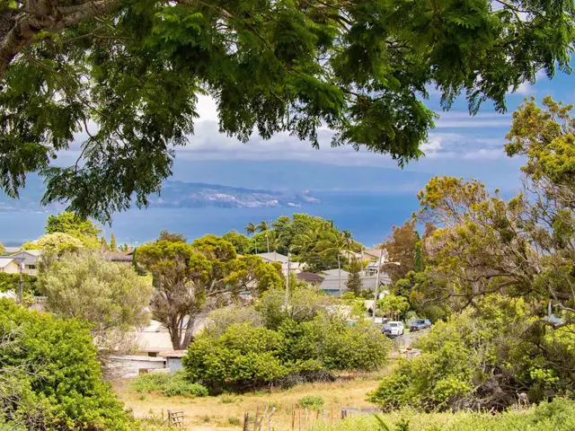 Listing Image for 1127 Makawao Ave 15 of 31
