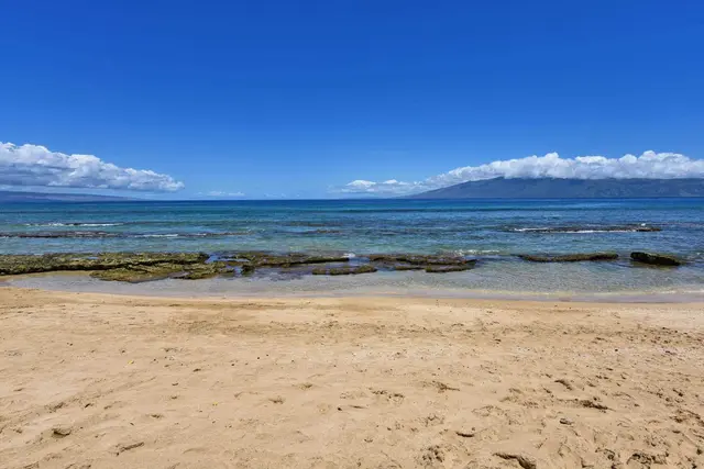 Listing Image for 3691 Lower Honoapiilani Rd 110 39 of 48
