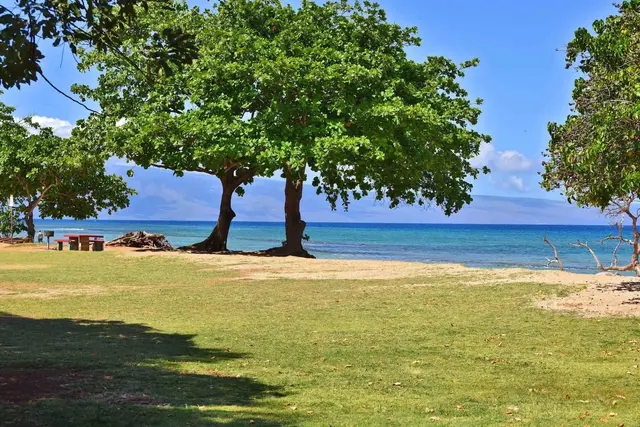 Listing Image for 3691 Lower Honoapiilani Rd 110 40 of 48