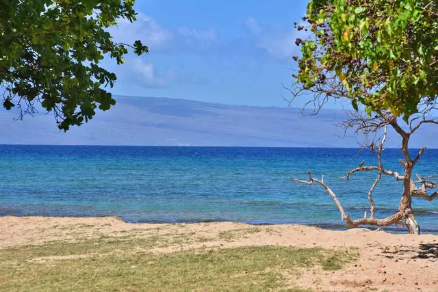 Listing Image for 3691 Lower Honoapiilani Rd 110 47 of 48