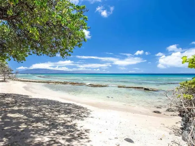Listing Image for 3691 Lower Honoapiilani Rd 110 6 of 48