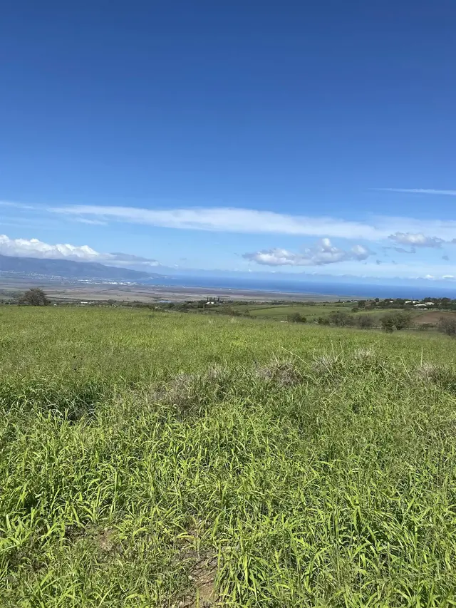 Listing Image for 1900 Pulehu Rd 25 of 28