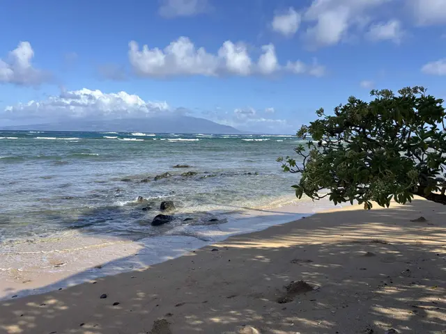 Listing Image for 7142 Kamehameha V Hwy B102 14 of 17