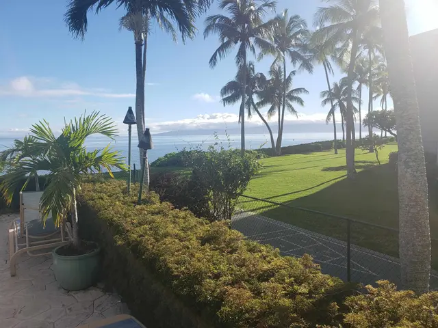 Listing Image for 7142 Kamehameha V Hwy B102 3 of 17