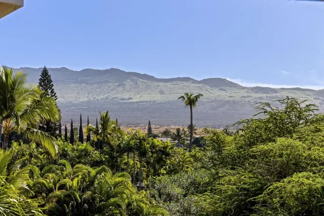 Listing Image for 2575 S Kihei Rd P409 17 of 38