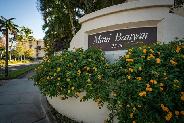 Listing Image for 2575 S Kihei Rd P409 3 of 38