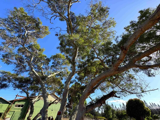 Listing Image for 1658 Okana St 12 of 12