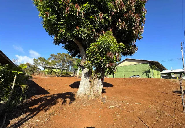 Listing Image for 1658 Okana St 5 of 12