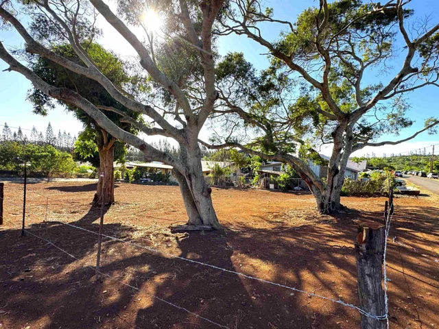 Listing Image for 1658 Okana St 8 of 12