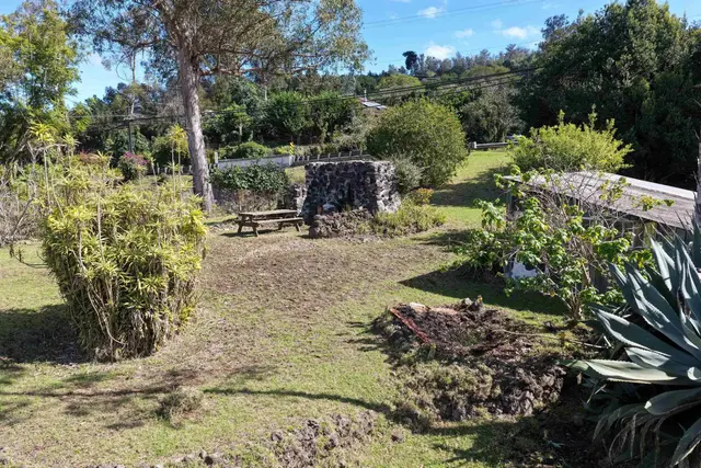 Listing Image for 1575 Kamehameiki Rd Unit 1 10 of 39