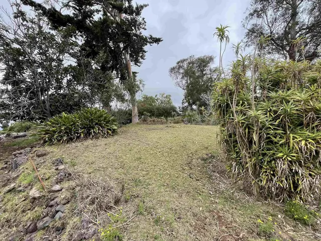 Listing Image for 1575 Kamehameiki Rd Unit 1 14 of 39