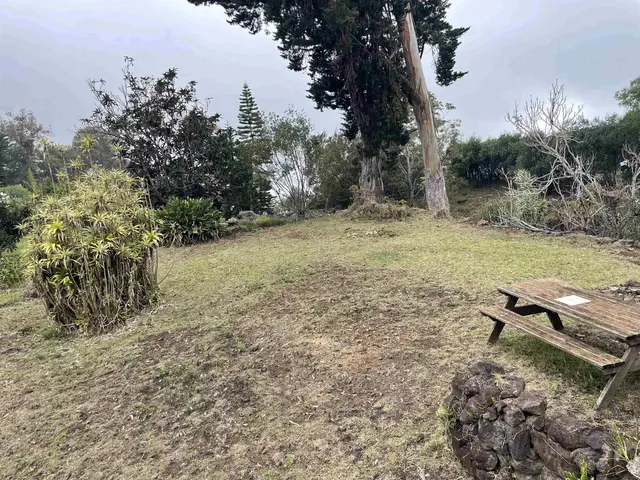 Listing Image for 1575 Kamehameiki Rd Unit 1 15 of 39