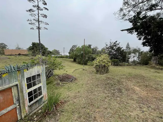 Listing Image for 1575 Kamehameiki Rd Unit 1 25 of 39