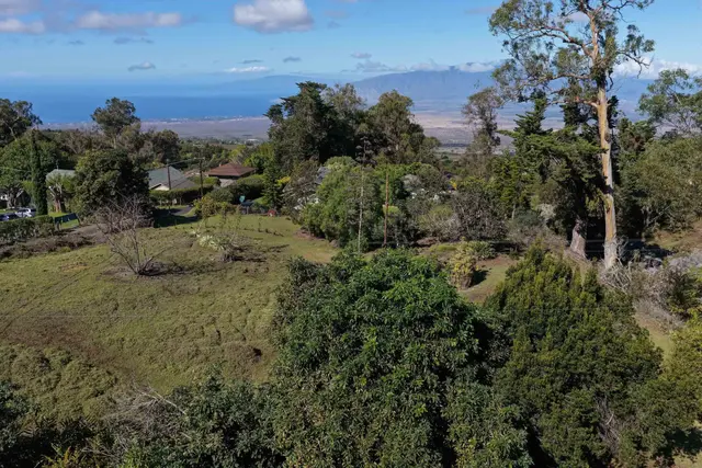 Listing Image for 1575 Kamehameiki Rd Unit 1 26 of 39