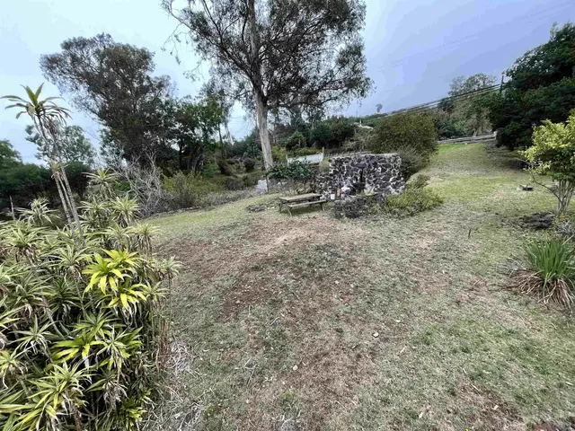 Listing Image for 1575 Kamehameiki Rd Unit 1 27 of 39