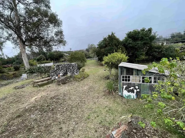 Listing Image for 1575 Kamehameiki Rd Unit 1 28 of 39