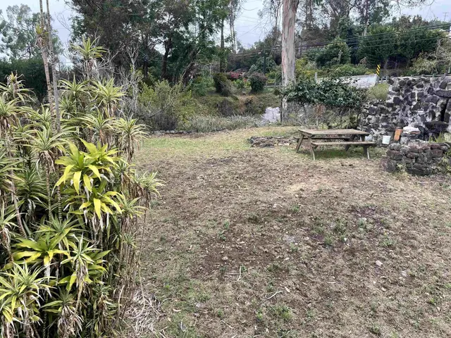 Listing Image for 1575 Kamehameiki Rd Unit 1 29 of 39