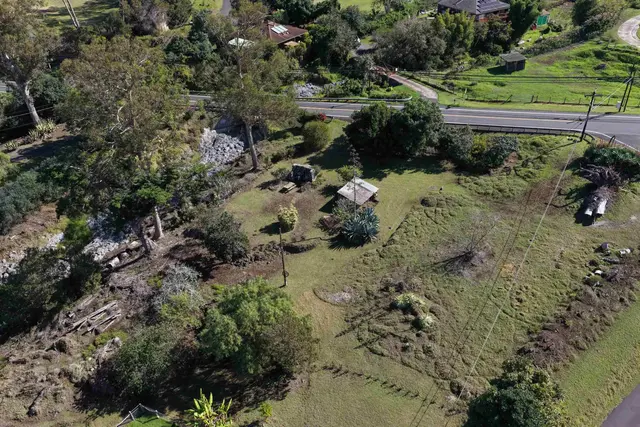 Listing Image for 1575 Kamehameiki Rd Unit 1 3 of 39