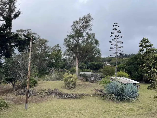 Listing Image for 1575 Kamehameiki Rd Unit 1 30 of 39