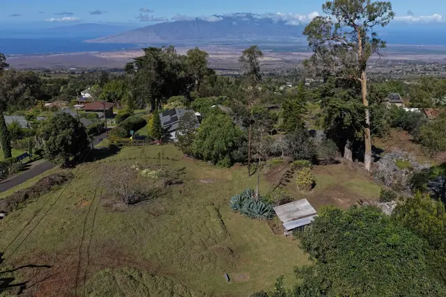 Listing Image for 1575 Kamehameiki Rd Unit 1 32 of 39