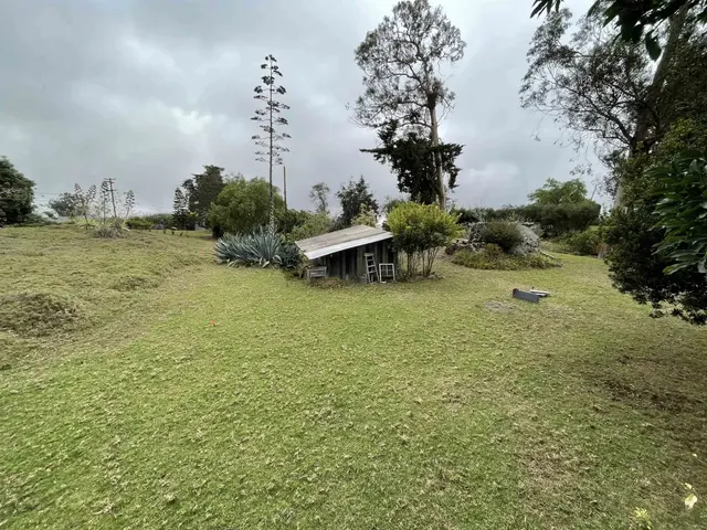 Listing Image for 1575 Kamehameiki Rd Unit 1 35 of 39