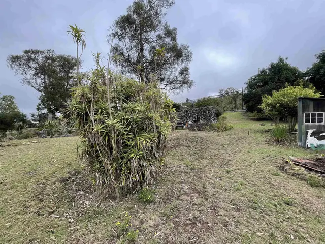 Listing Image for 1575 Kamehameiki Rd Unit 1 36 of 39