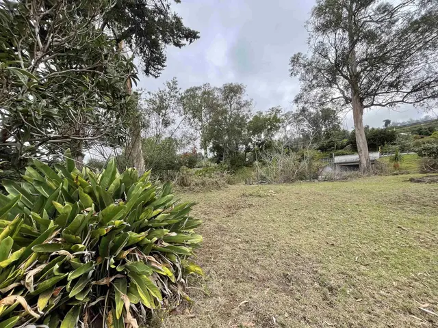 Listing Image for 1575 Kamehameiki Rd Unit 1 37 of 39
