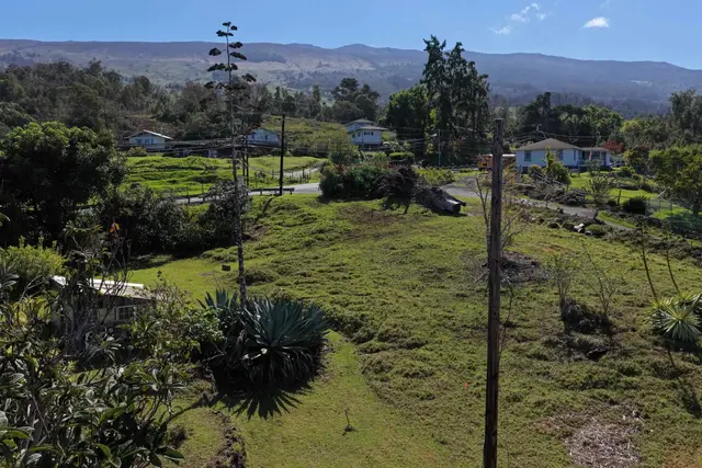 Listing Image for 1575 Kamehameiki Rd Unit 1 38 of 39