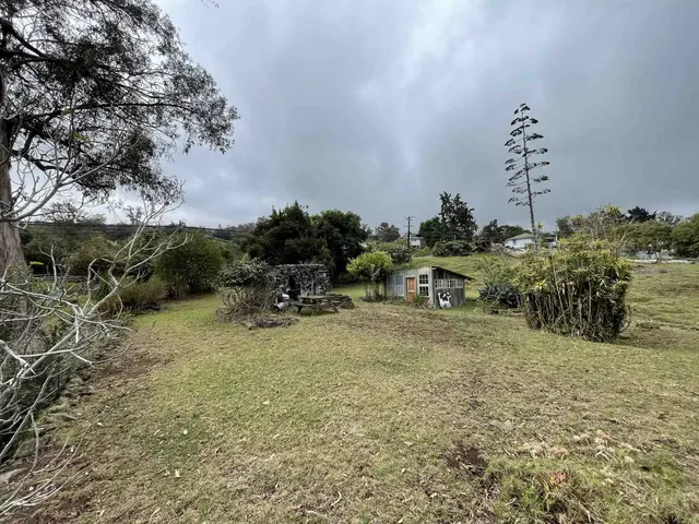 Listing Image for 1575 Kamehameiki Rd Unit 1 4 of 39
