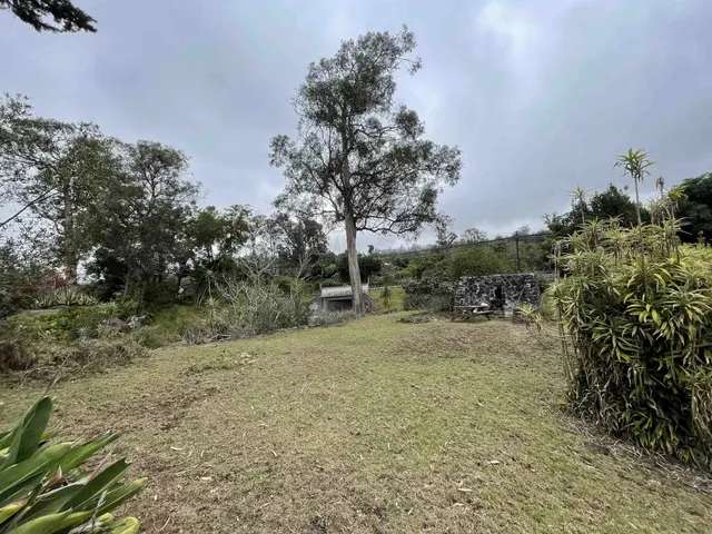 Listing Image for 1575 Kamehameiki Rd Unit 1 5 of 39