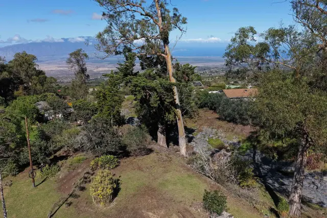 Listing Image for 1575 Kamehameiki Rd Unit 1 6 of 39