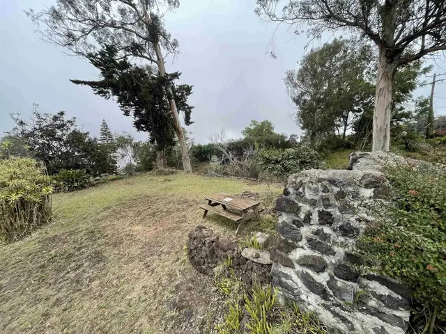 Listing Image for 1575 Kamehameiki Rd Unit 1 9 of 39