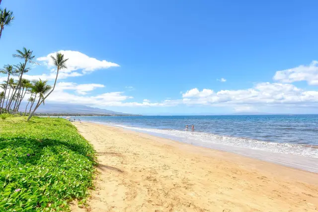 Listing Image for 145 N Kihei Rd 203 23 of 28