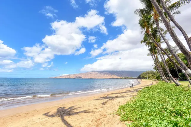 Listing Image for 145 N Kihei Rd 203 5 of 28