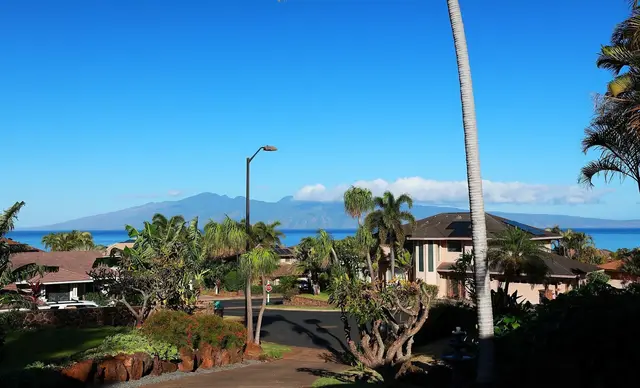 Listing Image for 12 Orchid Pl 174 48 of 50