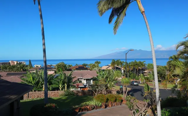 Listing Image for 12 Orchid Pl 174 7 of 50