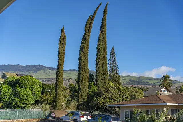 Listing Image for 3535 Akala Dr Unit A 45 of 50