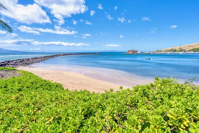 Listing Image for 30 Hauoli St 411 28 of 40