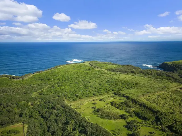 Listing Image for 0 Pauwela Lighthouse Rd 50 14 of 21