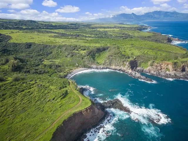 Listing Image for 0 Pauwela Lighthouse Rd 50 5 of 21