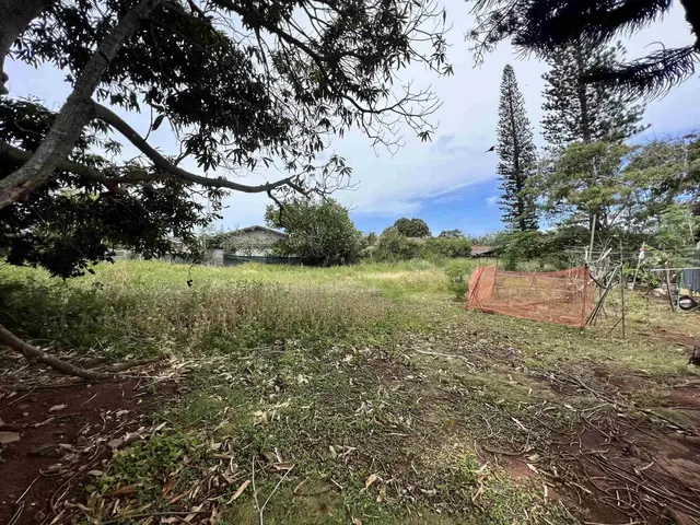 Listing Image for 5155 Kipulu Pl D 4 of 7
