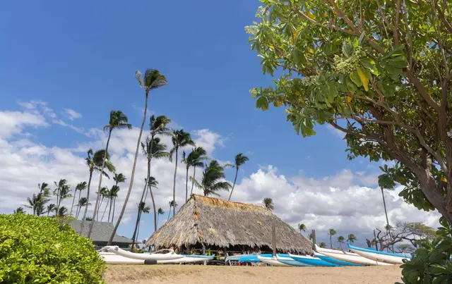 Listing Image for 111 Kahului Beach Rd A121 41 of 41