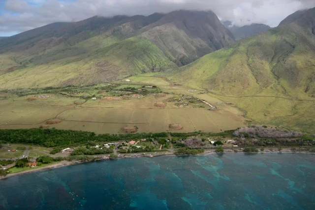 Listing Image for 295 Luawai St Lot 12 Unit A 1 of 14