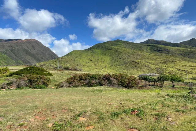 Listing Image for 295 Luawai St Lot 12 Unit A 10 of 14