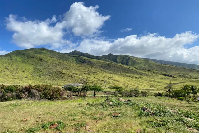 Listing Image for 295 Luawai St Lot 12 Unit A 12 of 14