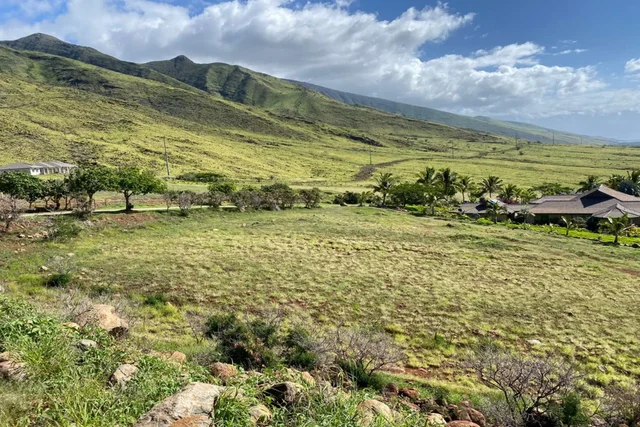 Listing Image for 295 Luawai St Lot 12 Unit A 6 of 14