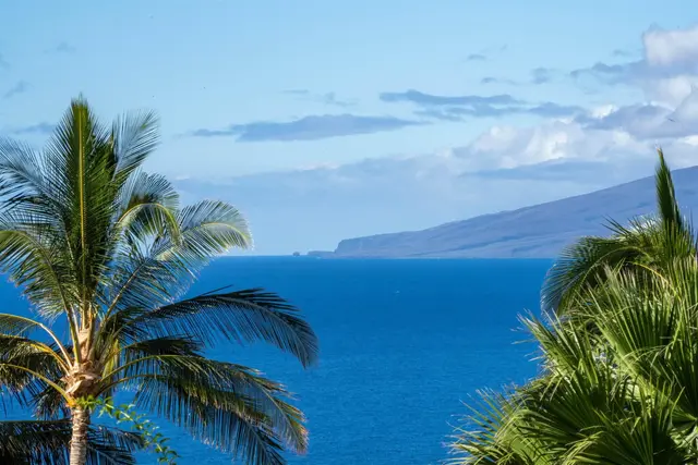 Listing Image for 51 Awaiku St A 12 of 39