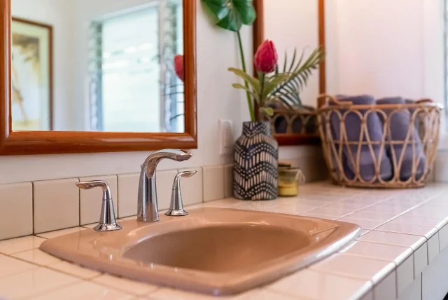 Listing Image for 3051 Alaneo Pl 33 of 49